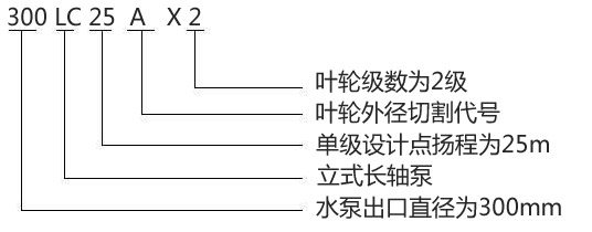 300LC-25AX2型立式长轴泵型号意义